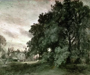 Studio di Alberi
